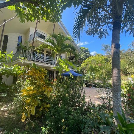 Villa Pura Vida Matapalo  ภายนอก รูปภาพ