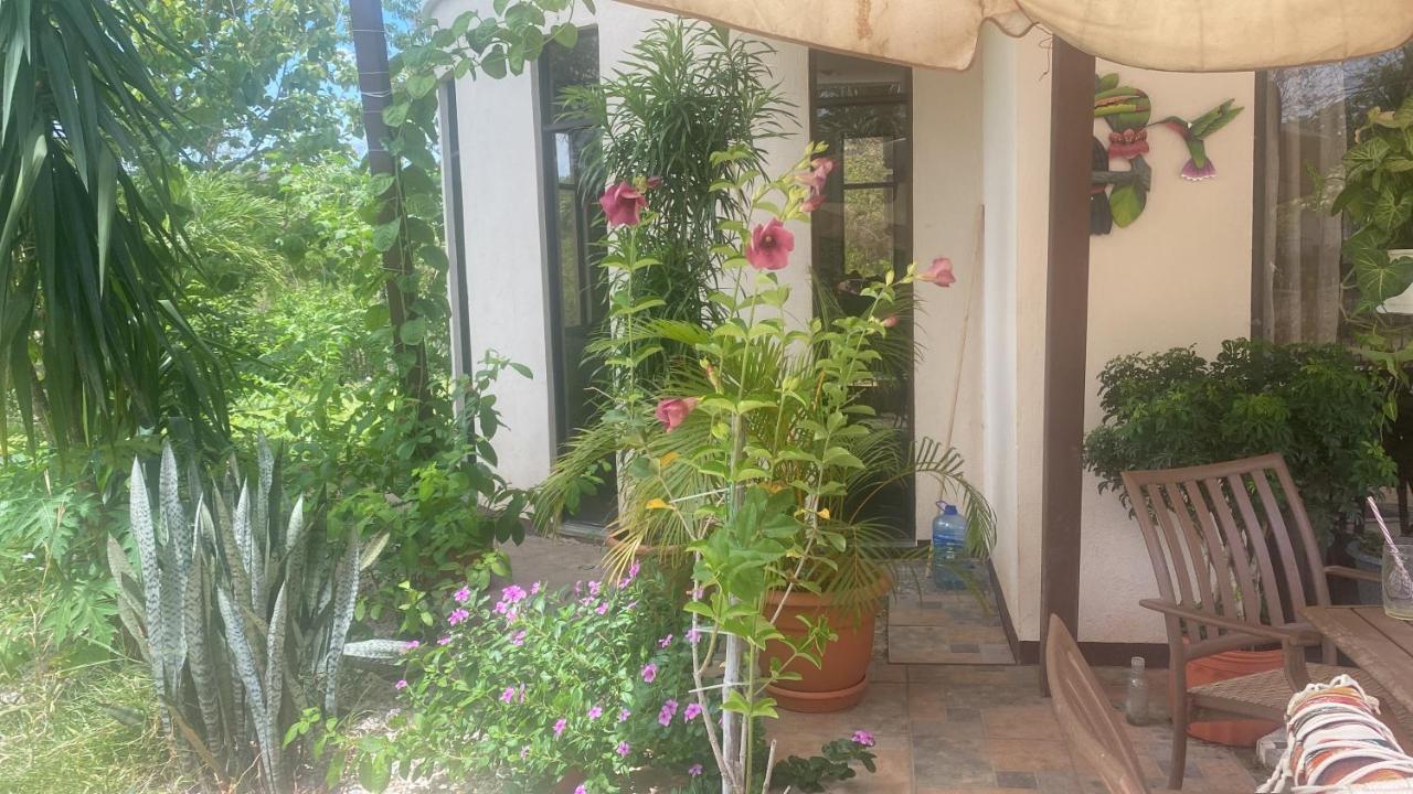 Villa Pura Vida Matapalo  ภายนอก รูปภาพ