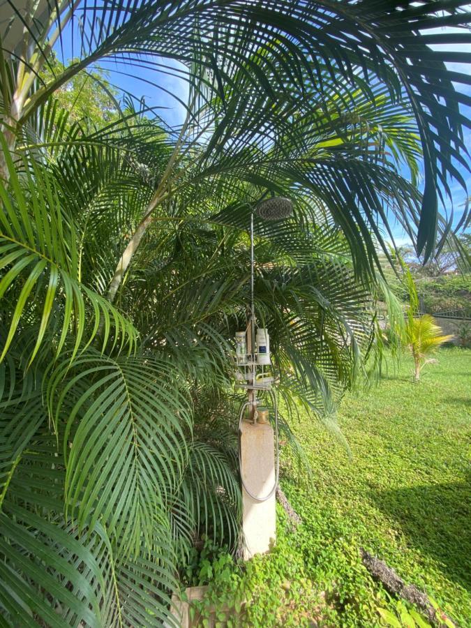 Villa Pura Vida Matapalo  ภายนอก รูปภาพ