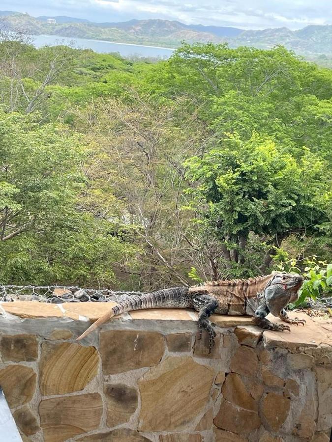 Villa Pura Vida Matapalo  ภายนอก รูปภาพ