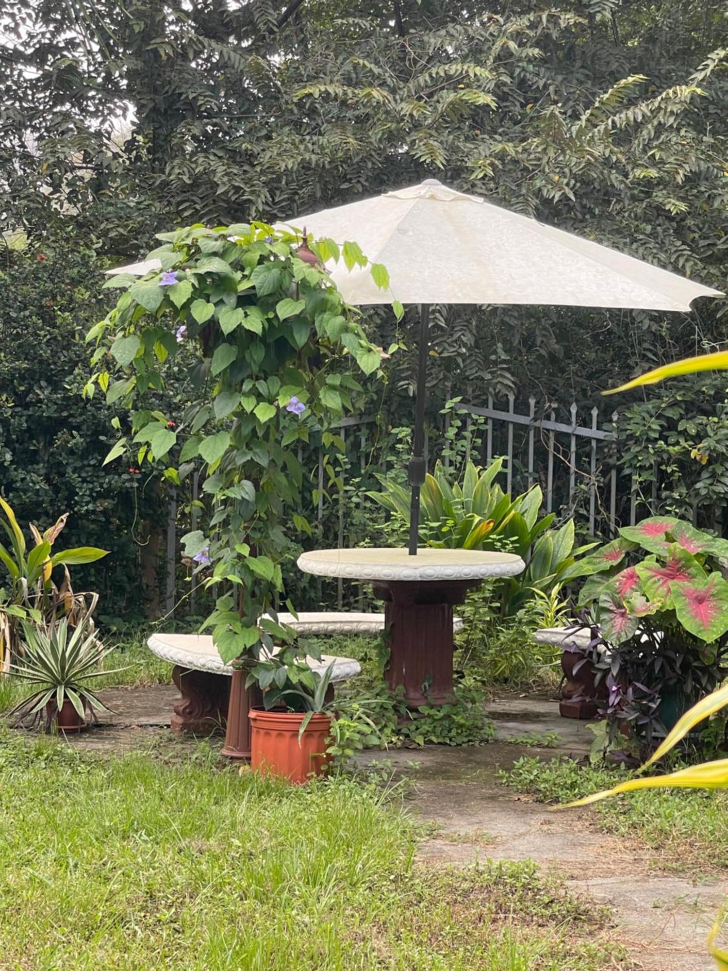 Villa Pura Vida Matapalo  ภายนอก รูปภาพ